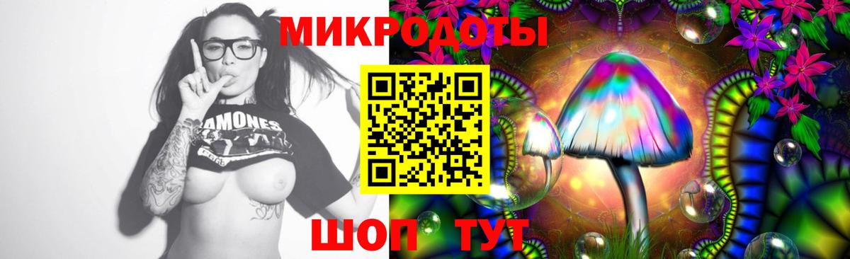 Галлюциногенные грибы Cubensis Златоуст